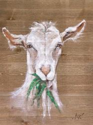 Goat | Obraz na stenu