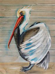 Pelican | Obraz na stenu