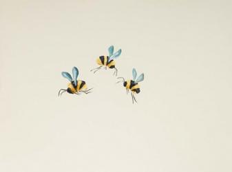 3 Bees | Obraz na stenu