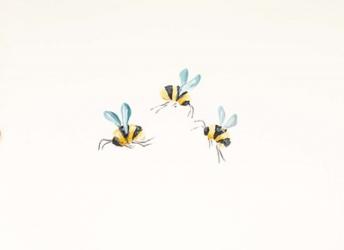 3 Bees on White | Obraz na stenu