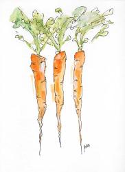Carrots | Obraz na stenu