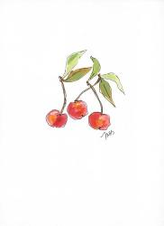 Cherries | Obraz na stenu