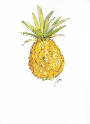 Pineapple | Obraz na stenu