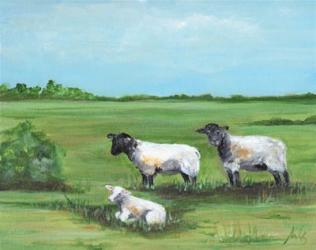 Sheep Trio | Obraz na stenu