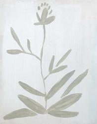 Flower on White | Obraz na stenu