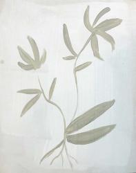 Leaves on White | Obraz na stenu