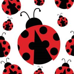 Ladybug II | Obraz na stenu