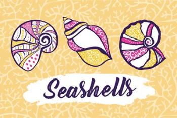 Seashells | Obraz na stenu