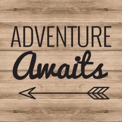 Adventure Awaits | Obraz na stenu