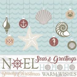 Coastal Christmas Shells | Obraz na stenu