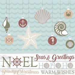 Coastal Christmas Shells | Obraz na stenu