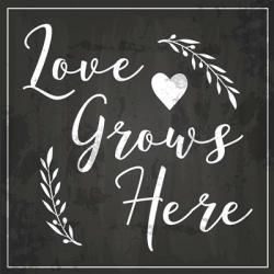 Love Grows Here | Obraz na stenu