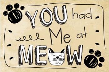 You Had Me at Meow | Obraz na stenu