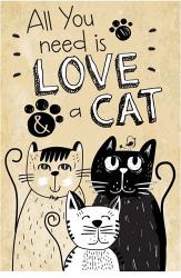 All You Need is Love and a Cat | Obraz na stenu