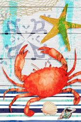 New England Crab | Obraz na stenu