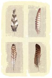 Traditional Figurative Feathers | Obraz na stenu