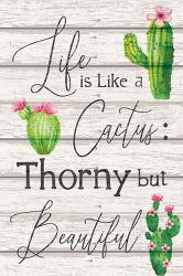 Life is Like a Cactus | Obraz na stenu