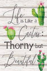 Life is Like a Cactus | Obraz na stenu