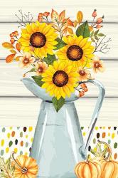 Pumpkins and Sunflowers | Obraz na stenu