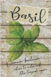 Basil | Obraz na stenu