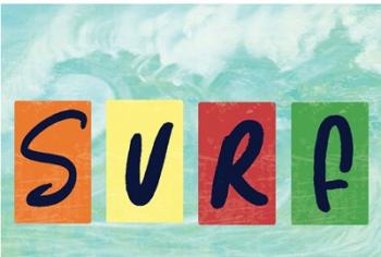 Surf | Obraz na stenu