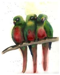 Green Parrots | Obraz na stenu