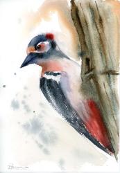 Woodpecker | Obraz na stenu