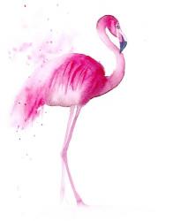 Flamingo III | Obraz na stenu