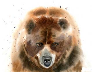 Bear IV | Obraz na stenu