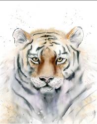 Tiger III | Obraz na stenu