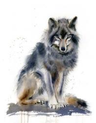 Wolf IV | Obraz na stenu