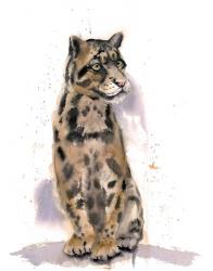 Wild Cat | Obraz na stenu