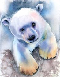 Polar Bear | Obraz na stenu
