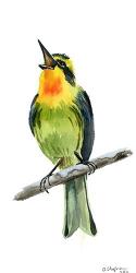 Tropical Bird IV | Obraz na stenu