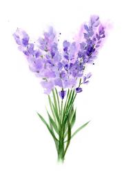 Purple Flowers V | Obraz na stenu