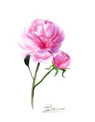 Pink Flowers V | Obraz na stenu