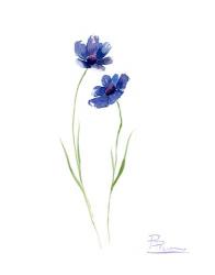 Blue Flowers II | Obraz na stenu
