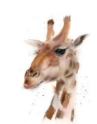 Giraffe | Obraz na stenu