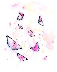 Butterflies I | Obraz na stenu