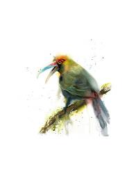 Green Bird | Obraz na stenu