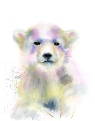 Bear Cub | Obraz na stenu