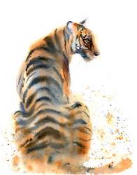 Tiger Tail | Obraz na stenu