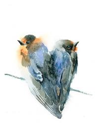 Bird Love | Obraz na stenu