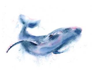 Whale | Obraz na stenu