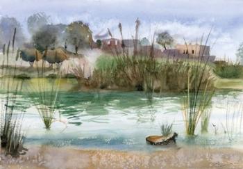 Pond | Obraz na stenu