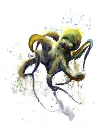 Octopus I | Obraz na stenu