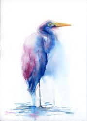 Blue Ibis | Obraz na stenu