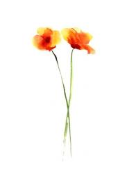Poppy II | Obraz na stenu