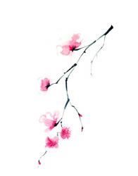 Cherry Blossom II | Obraz na stenu