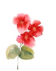 Red Flowers I | Obraz na stenu